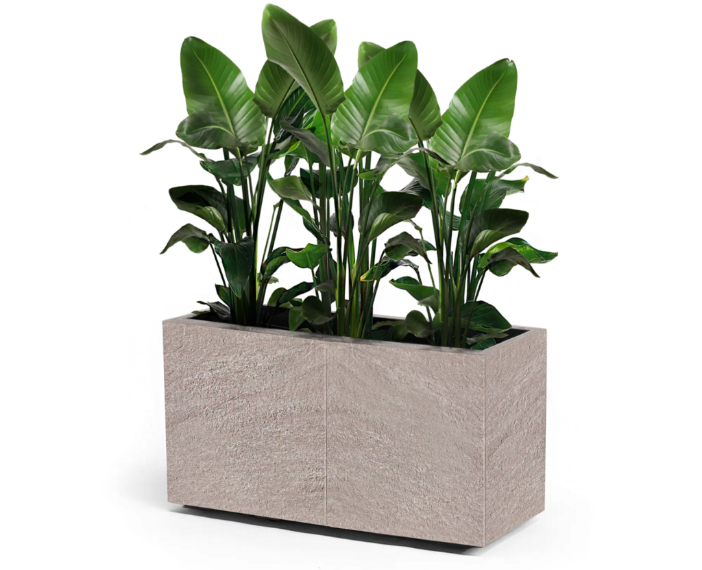 FIORIERA_GRES_PEARL