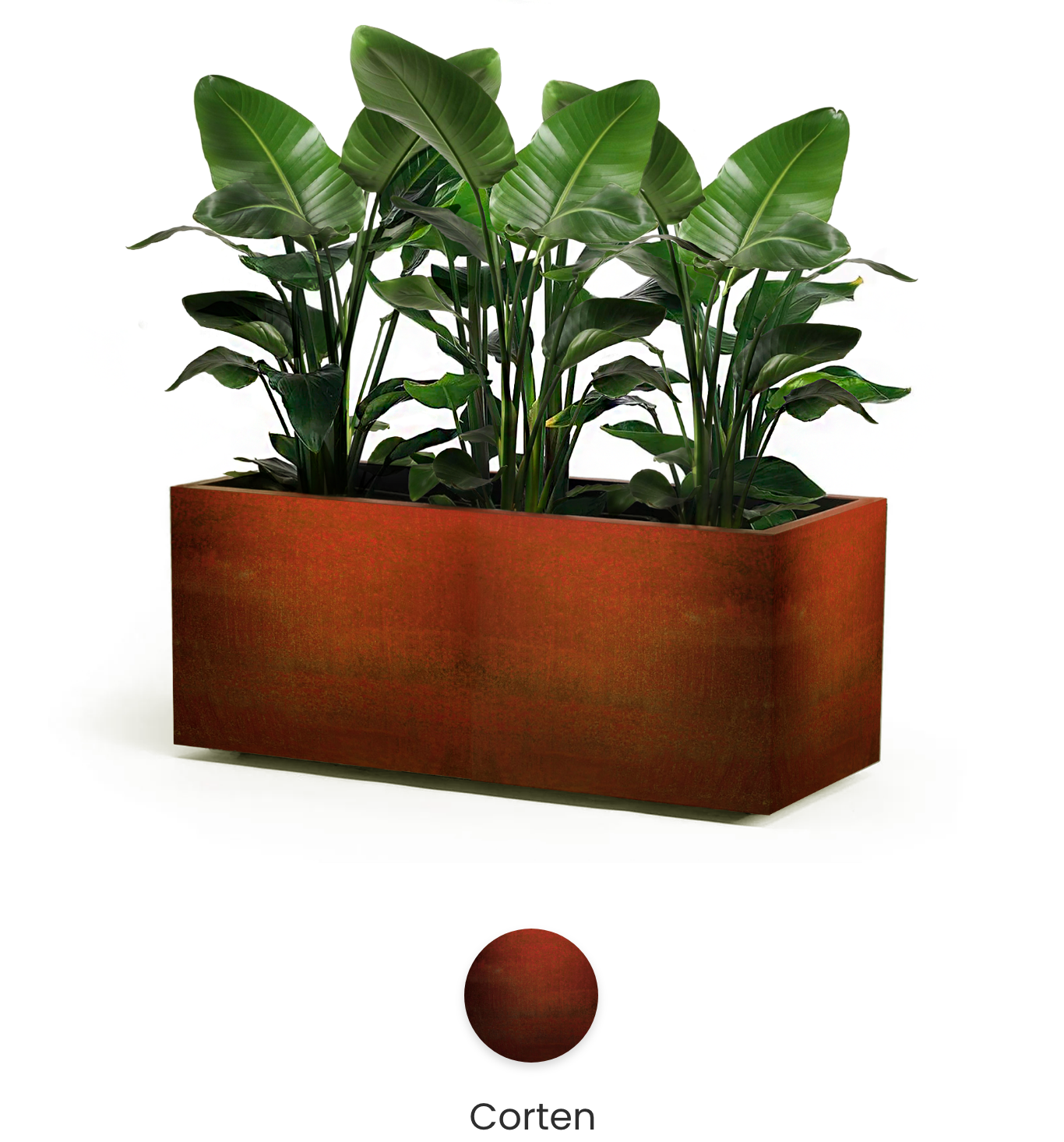 corten