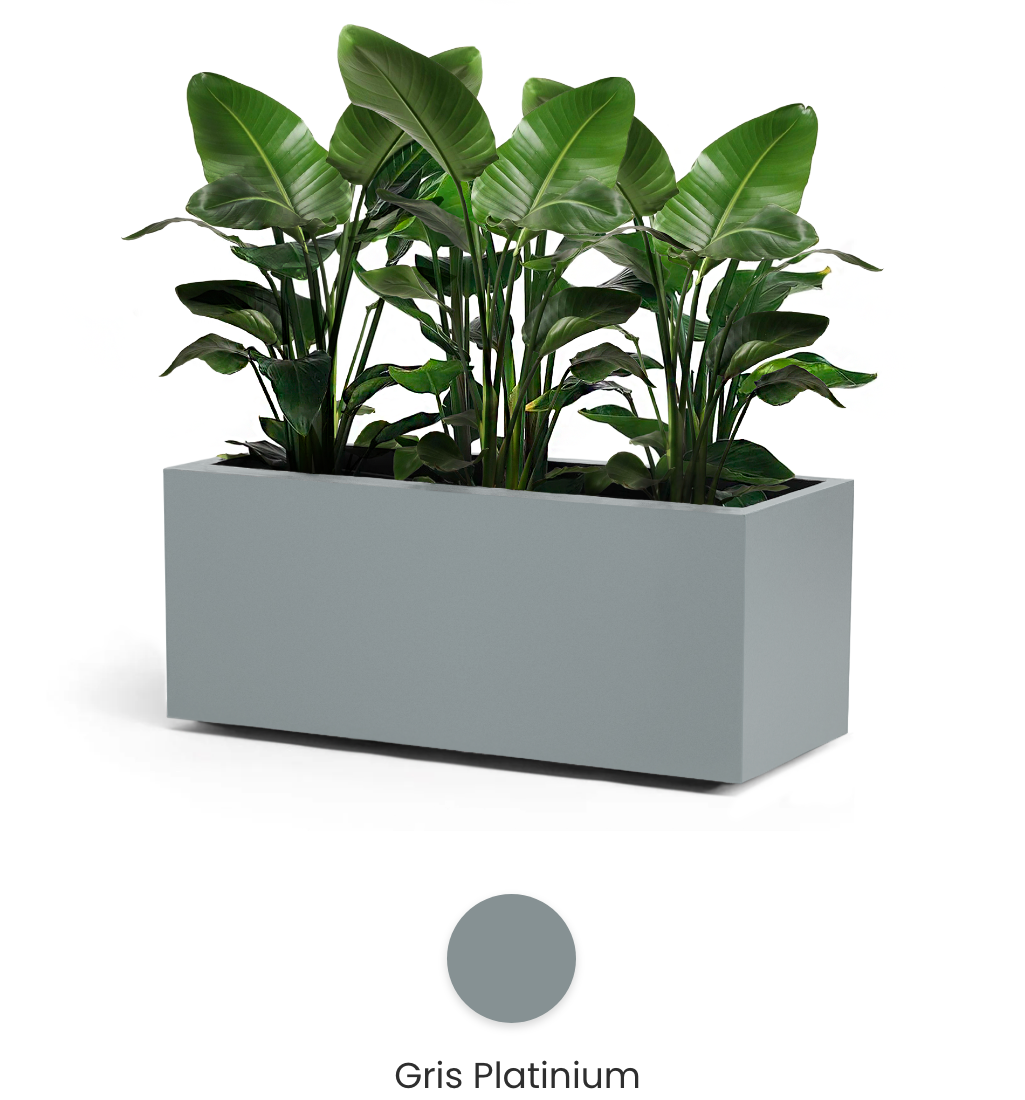 gris platinium