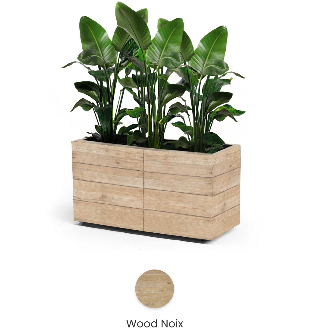 wood_noix