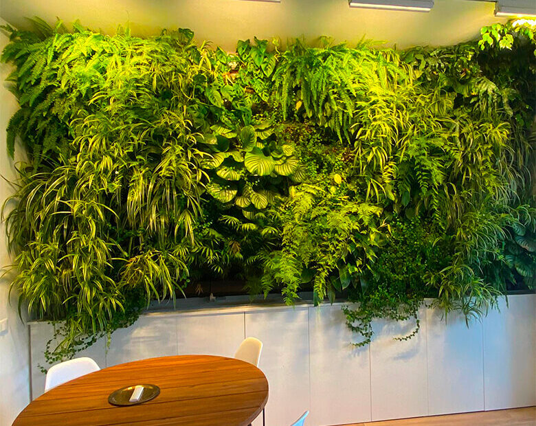 green wall fioriere interno
