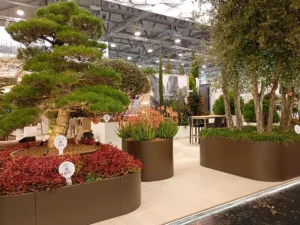 domino flower box IPM 2026